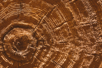 Naklejka premium wooden surface with circles