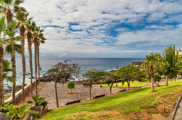 Beautiful coast of Tenerife palm tree