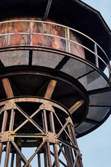 Fototapeta premium Winter time