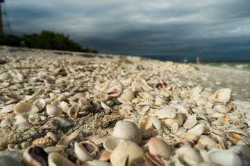 Closeup of shell beach with dramatic black storm sky at Sanibel Island