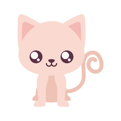 kawaii cat cartoon vector design