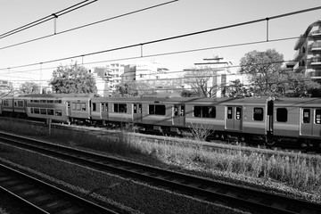 日本 電車 風景 線路 美しい 日常