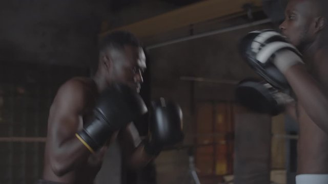 Waist-up shot of lean muscular black boxer with bare torso throwing powerful jabs and crosses at punch mitts while practicing at boxing gym, then trainer striking out and boxer ducking