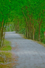 Obraz premium Road Background 