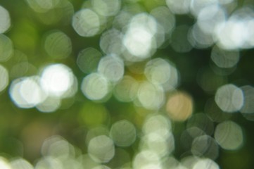 Natural bokeh background
