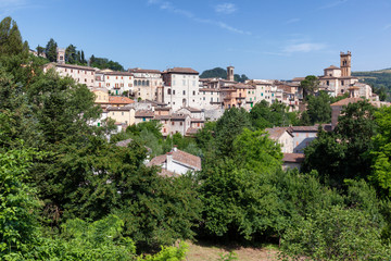 Fototapeta na wymiar Pergola, Pesaro Urbino, Marche