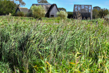 observatoire de la Réserve naturelle régionale Marais de Brière -loire atlantique france