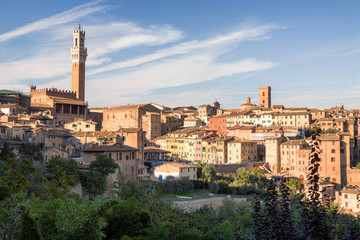 Obraz premium Siena, Toscana,. Panoramica della città con Torre del Mangia, dagli orti Tolomei