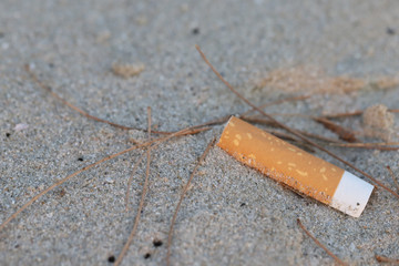 Cigarette butt on the beach,garbage on the beach