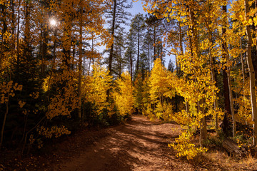 North Rim of Grand Canyon National Park in Arizona