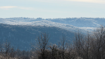 mountains and forest covered with white snow