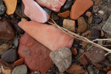 Little River Rock/Macro