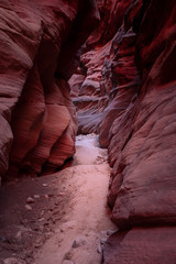 Buckskin Gulch Slot Canyon at Wire Pass Trail in Kanab, Utah