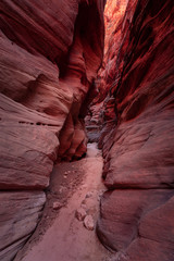 Buckskin Gulch Slot Canyon at Wire Pass Trail in Kanab, Utah