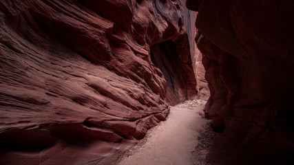 Buckskin Gulch Slot Canyon at Wire Pass Trail in Kanab, Utah