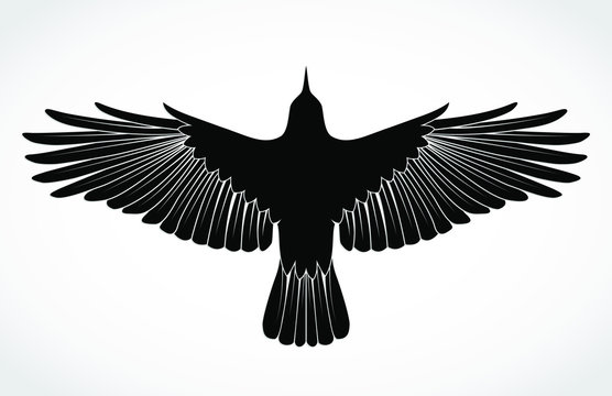 crow silhouette illustration