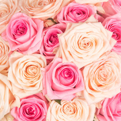 Background of pink and peach roses