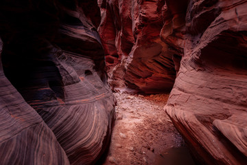 Buckskin Gulch Slot Canyon at Wire Pass Trail in Kanab, Utah