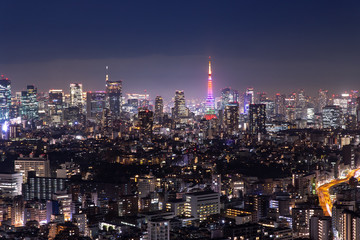 Fototapeta na wymiar 美しい東京の夜景