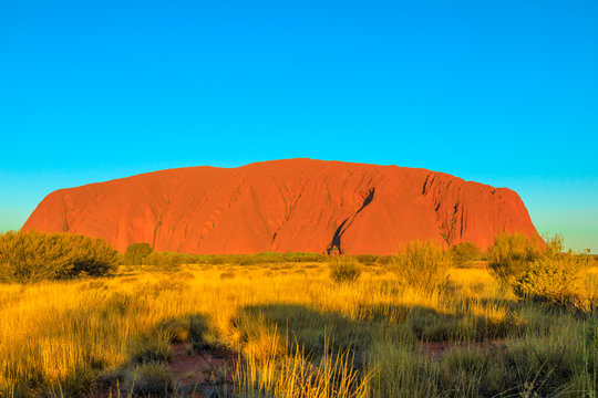 The shadows of sunset in dry bush vegetation around Uluru or Ayers Rock in Uluru-Kata Tjuta National Park, Northern Territory, Australia. Aboriginal land in Australian outback or Red Centre.