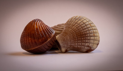 Praline Konfekt mit heller und dunkler Schokolade in Muschelform