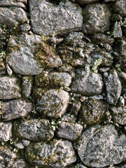 abandoned and old stone wall