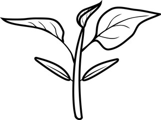 Coloring page. Sprout of pepper plant with leaves isolated on white background