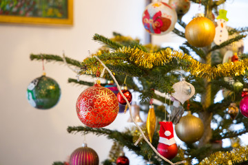 Fir-tree spruce with Christmas. Christmass tree
