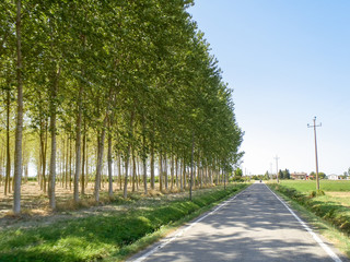 Apennine landscape and rural country