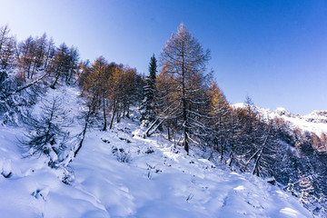 The snowy mountains, the forest and nature after the first snowfall of the season in the alps, near the town of Tartano, Italy - November 2019.