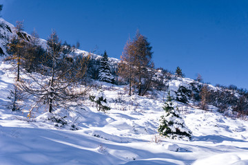 Fototapeta premium The snowy mountains, the forest and nature after the first snowfall of the season in the alps, near the town of Tartano, Italy - November 2019.