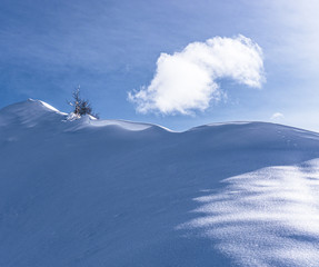 The snowy mountains, the nature and the landscape of the Valtellina after the first snowfall of the season in the Alps, near the town of Tartano, Italy - November 2019.