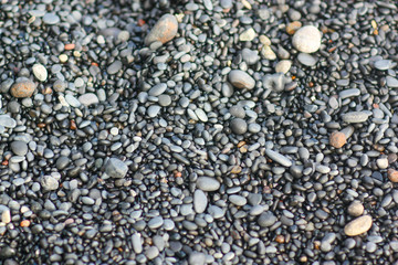 Pebble stones closeup on the shore in the blurry background