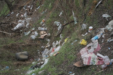 Elemental dump plastic garbage on the roadside near the outskirts of the forest. Pollution of the environment with plastic and other wastes. Plastic debris on the grass among trees. 