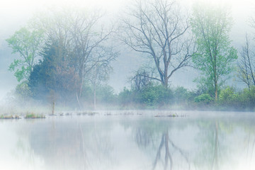Spring shoreline in fog, Deep Lake, Yankee Springs State Park, Michigan, USA