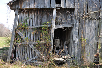 abandoned barn door