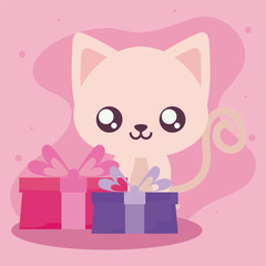 Cute cat cartoon with gifts vector design