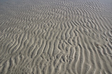 Ripple texture of  white sea coast sand in water in sun light