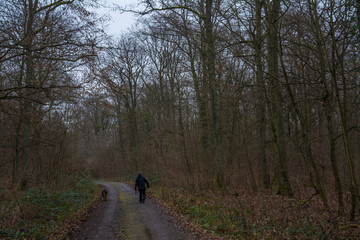 frau mit hund auf waldweg