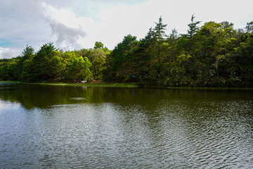 Beautiful landscape of the Don Manuel Lagoon that is in the forest 