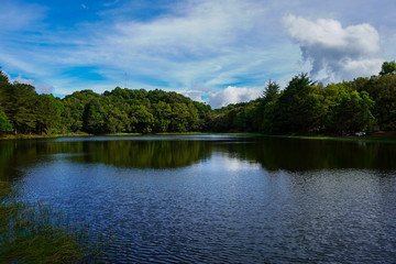 Beautiful landscape of the Don Manuel Lagoon that is in the forest 