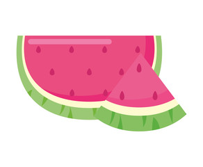 watermelons fruits food vector design