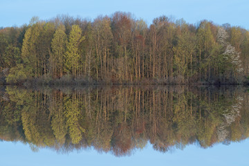 Spring landscape at dawn of the shoreline of Twin Lakes with mirrored reflections in calm water, Michigan, USA