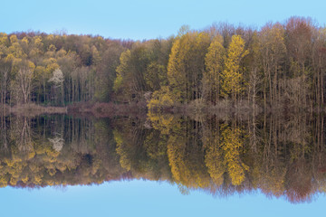 Spring landscape at dawn of the shoreline of Twin Lakes with mirrored reflections in calm water, Michigan, USA