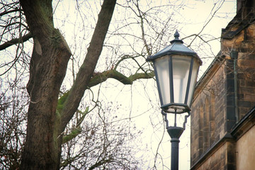 Fototapeta na wymiar Old street lamp and bare trees at winter. vintage filtered