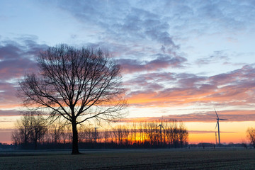 Fototapeta na wymiar sunrise in winter with colourfull sky and windmill