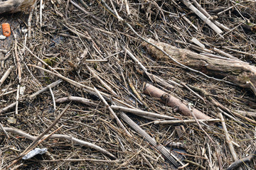 Branches & Debris Floating on River 