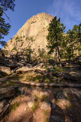 Devils Tower with Trees and Shadows