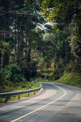 CARRETERA Pa&iacute;s Vasco