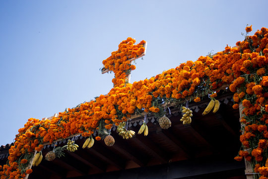 Dia de muertos flor de cempas&uacute;chil